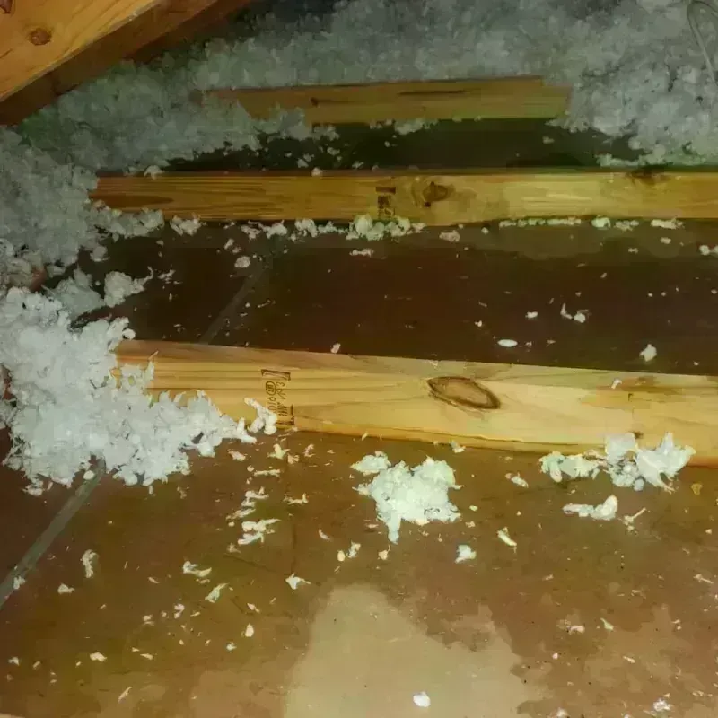 Attic Water Damage in Dublin, GA