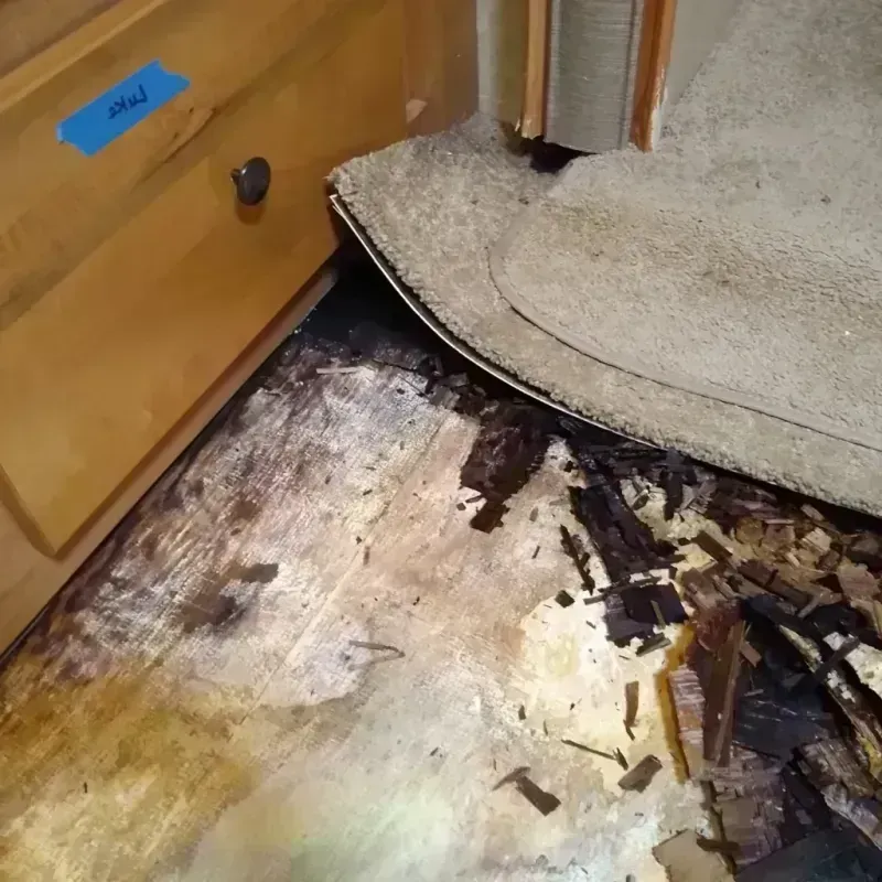 Best Wood Floor Water Damage Service in Dublin, GA